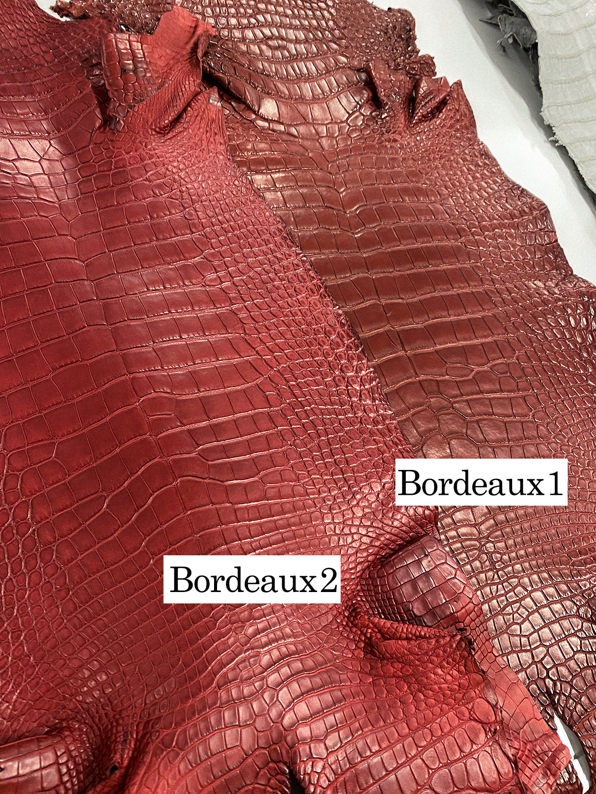 Cookie Bag 22 Croco Bordeaux1