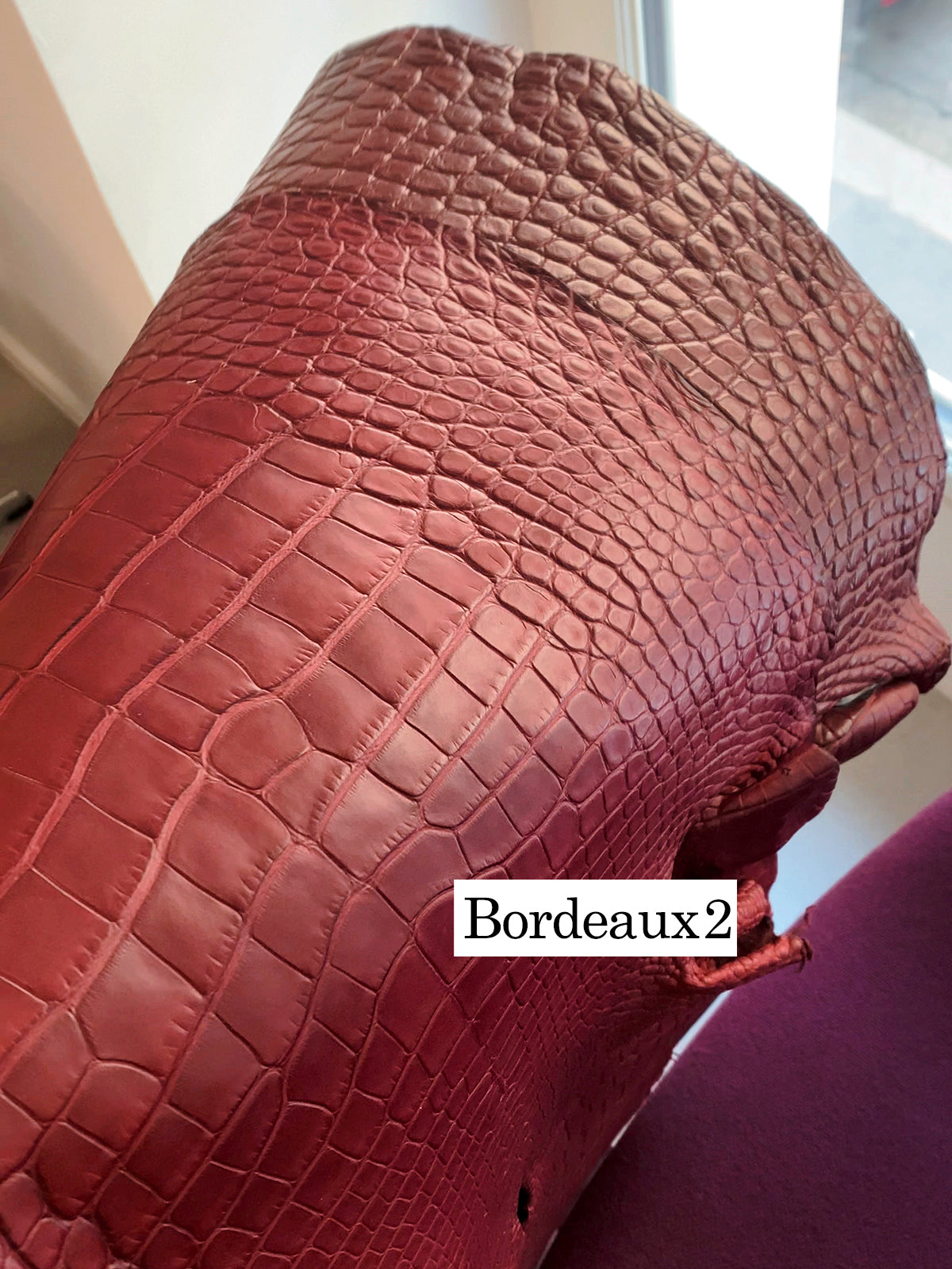 Cookie Bag 22 Croco Bordeaux2