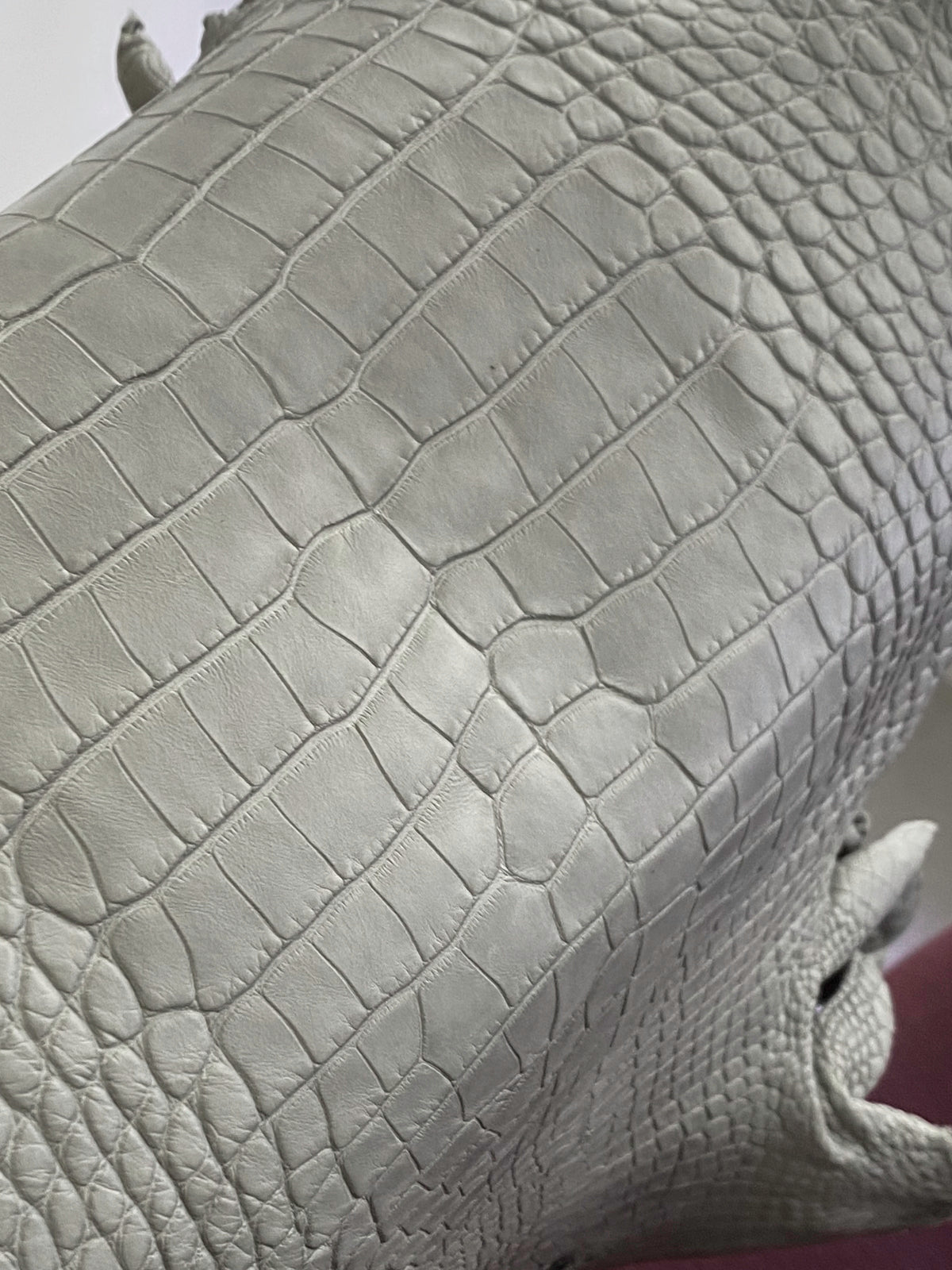 Cookie Bag 22 Croco Pearl Grey